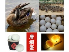 品嘗唐河風(fēng)情，一盒40枚精品蛋的禮遇