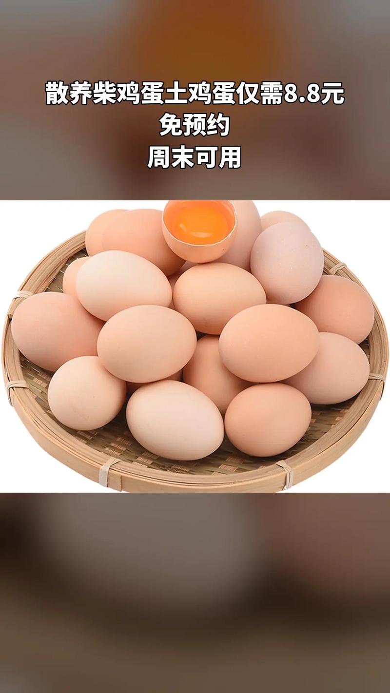 鮮蛋小屋 散養(yǎng)柴雞蛋與土雞蛋的火鍋新吃法